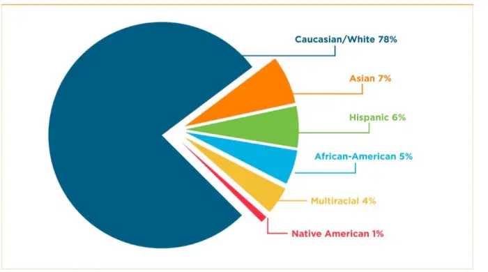 Lawyers by race and ethnicity, 2024